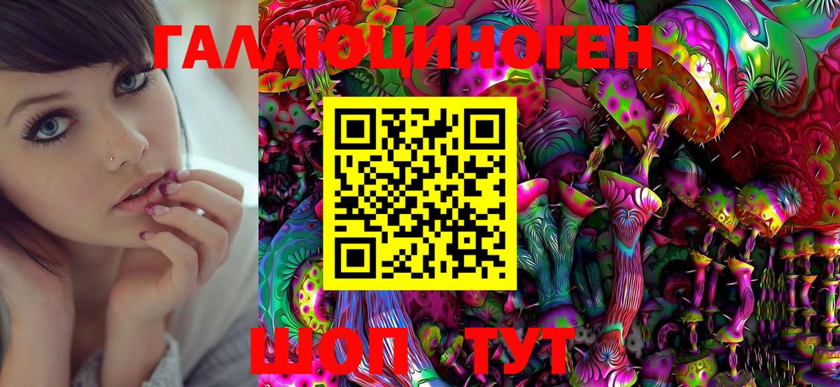 Псилоцибиновые грибы Psilocybe Ноябрьск