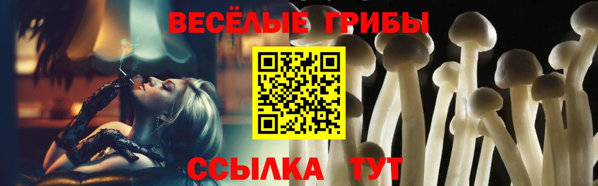 Псилоцибиновые грибы прущие грибы  Вход с VPN  Ноябрьск 